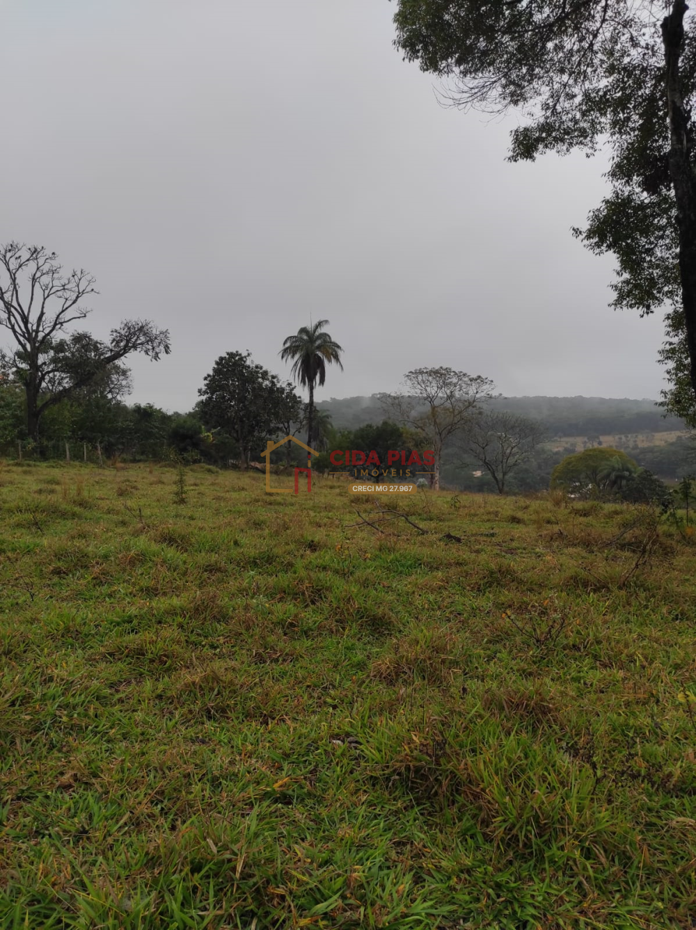 Terreno > venda > Confins- Balneário Lagoa dos Mares-Tavares