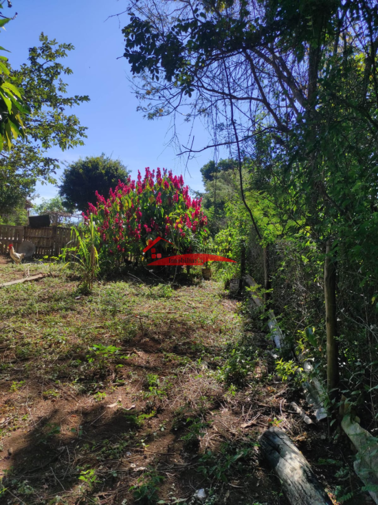 sitio-venda-confins-tavares-1102334