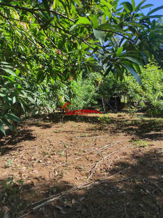 sitio-venda-confins-tavares-1102339