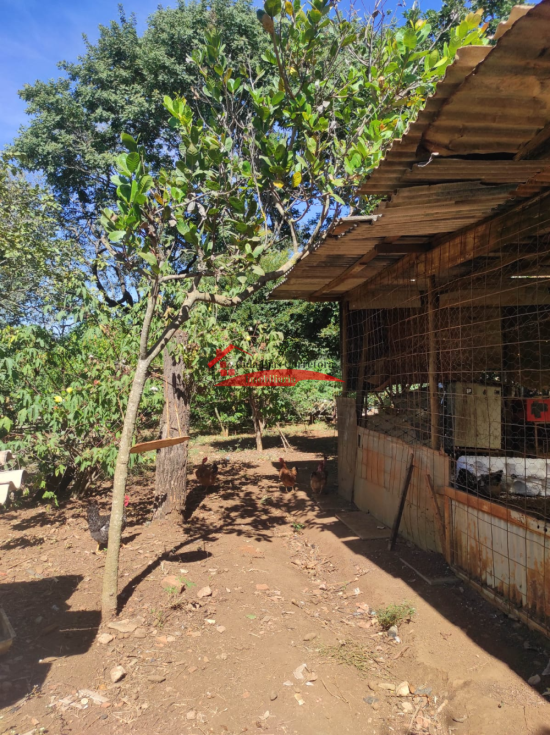 sitio-venda-confins-tavares-1102340
