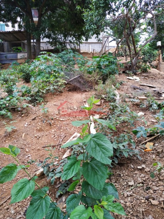lote-venda-vespasiano-bairro-santa-clara-575355