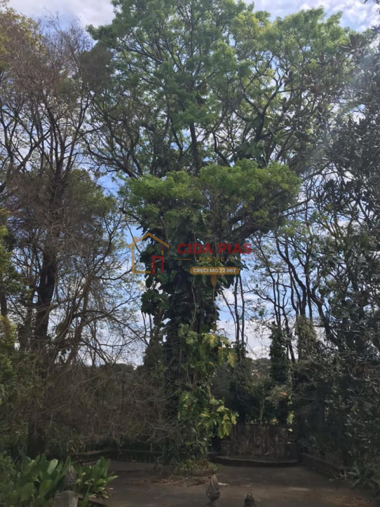 sitio-venda-confins-balneario-lagoa-dos-mares-tavares-1117660