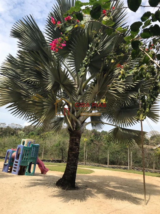 sitio-venda-confins-balneario-lagoa-dos-mares-tavares-1117658